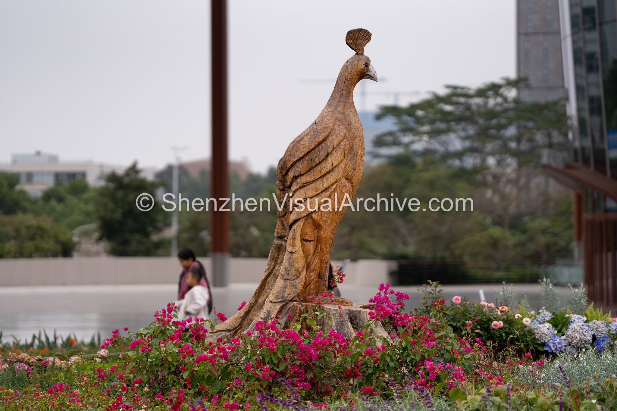 The Wooden Guardian: Peacock Sculpture at Longgang International Art Center (SVA-26-0030)