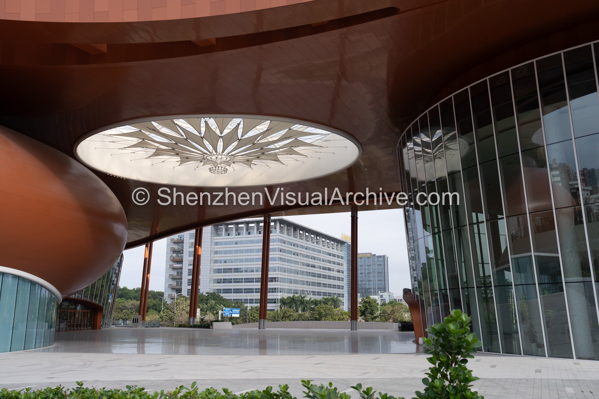 The Central Canopy: Longgang International Art Center (SVA-26-0012)