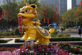 Auspicious Greetings: Lion Dance Sculpture at the 2026 Bao'an Flower Fair (SVA-26-0061)
