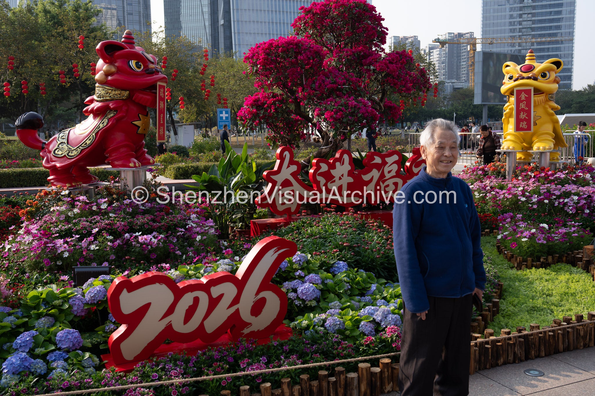 Senior Portrait: Posing with Auspicious Lions at the 2026 Bao'an Flower Fair (SVA-26-0063)