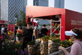 Festive Commerce: Vendor Selling Auspicious Plants at the 2026 Bao'an Flower Fair (SVA-26-0066)