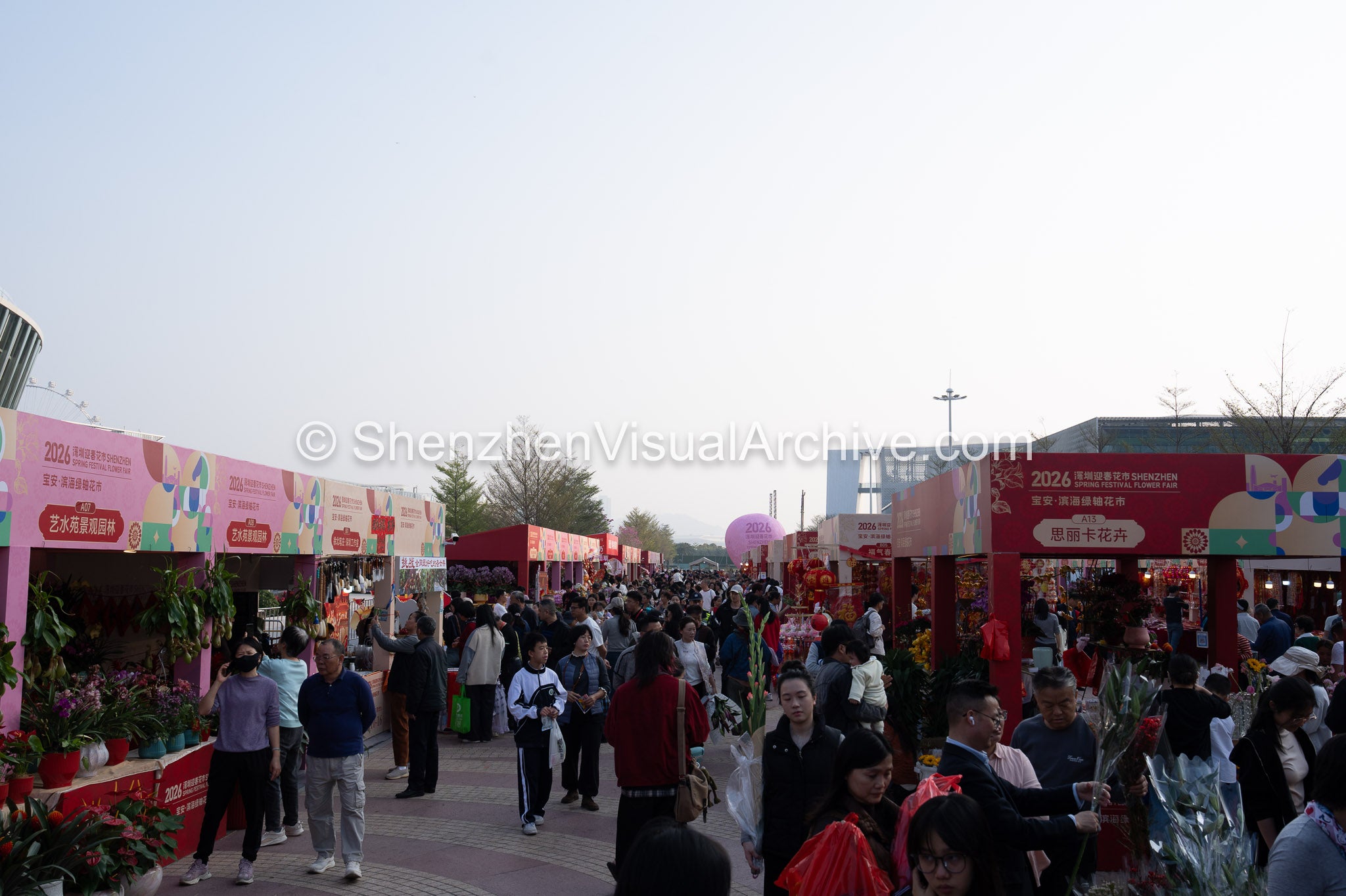 Bustling Marketplace: Wide View of Shoppers at the 2026 Bao'an Flower Fair (SVA-26-0074)