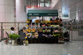 Subterranean Florist: Pop-up Flower Market at Gangxia North Station (SVA-26-0089)