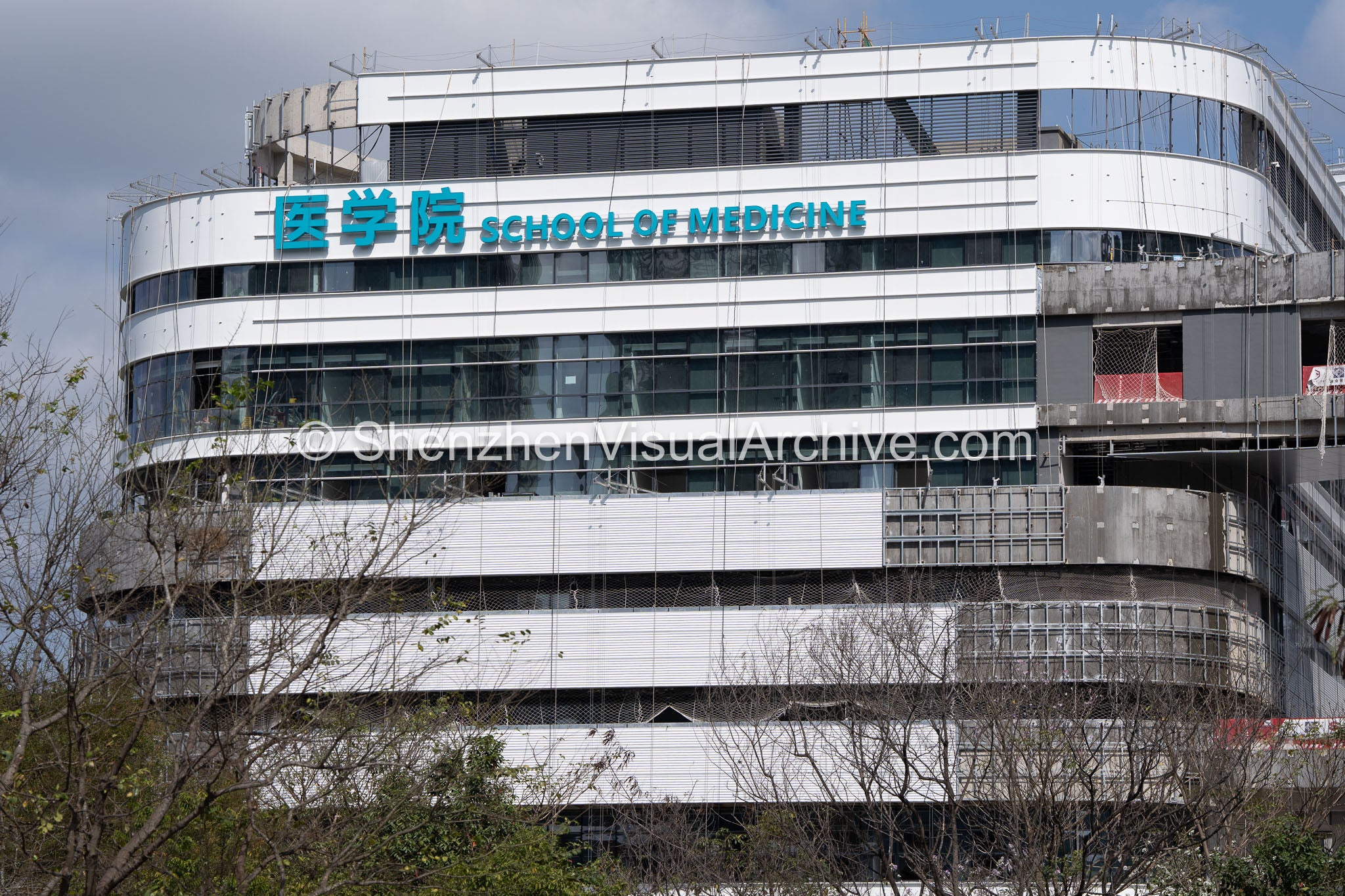 Institutional Detail: Facade Curvature of the School of Medicine Wing (SVA-26-0118)
