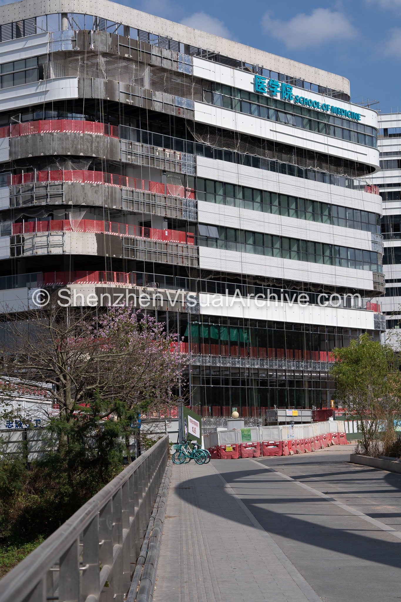 Campus Pathway: Architectural Progress at the School of Medicine (SVA-26-0121)