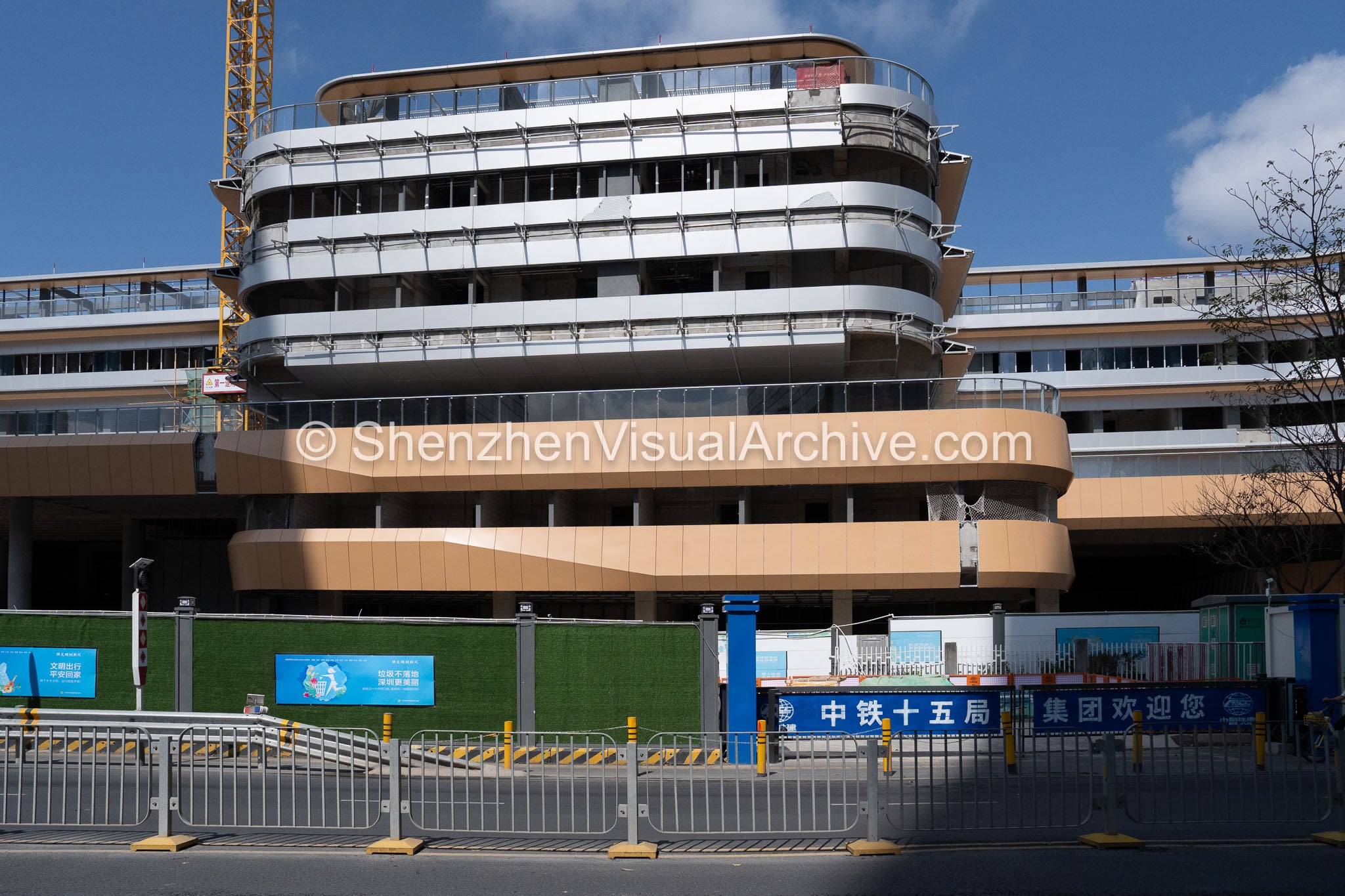 Frontal Axis: Complete Facade Study of the SUSTech Affiliated Hospital (SVA-26-0139)