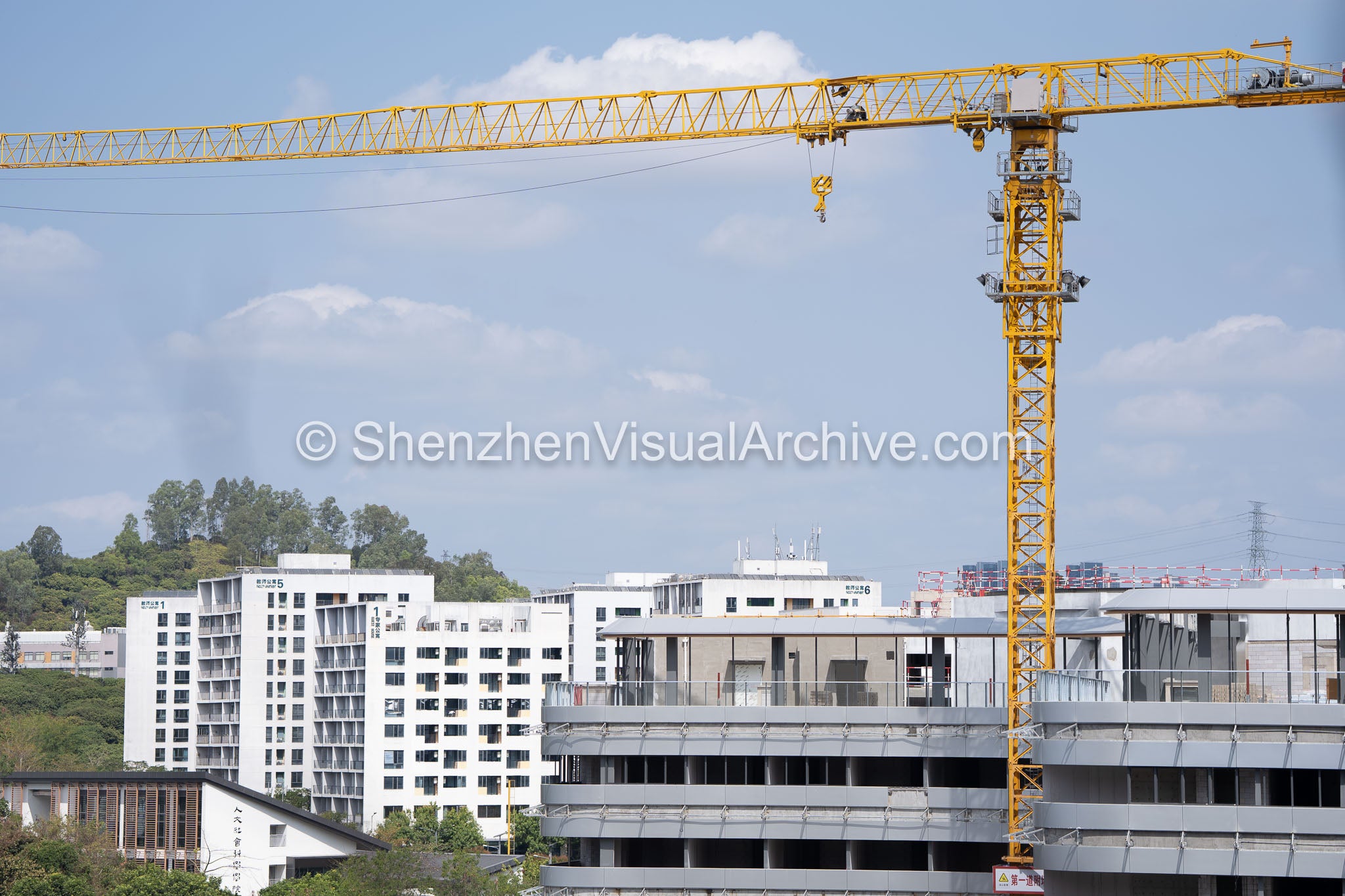 Tower Crane and Crown Engineering: Roof Structure of the SUSTech Medical Complex (SVA-26-0151)