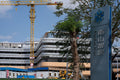 Civic Crossroads: Nanshan iPark North Entrance Sign and SUSTech Construction (SVA-26-0156)