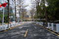 Eco-Boulevard: Tree-Lined Internal Avenue at Nanshan iPark (SVA-26-0157)