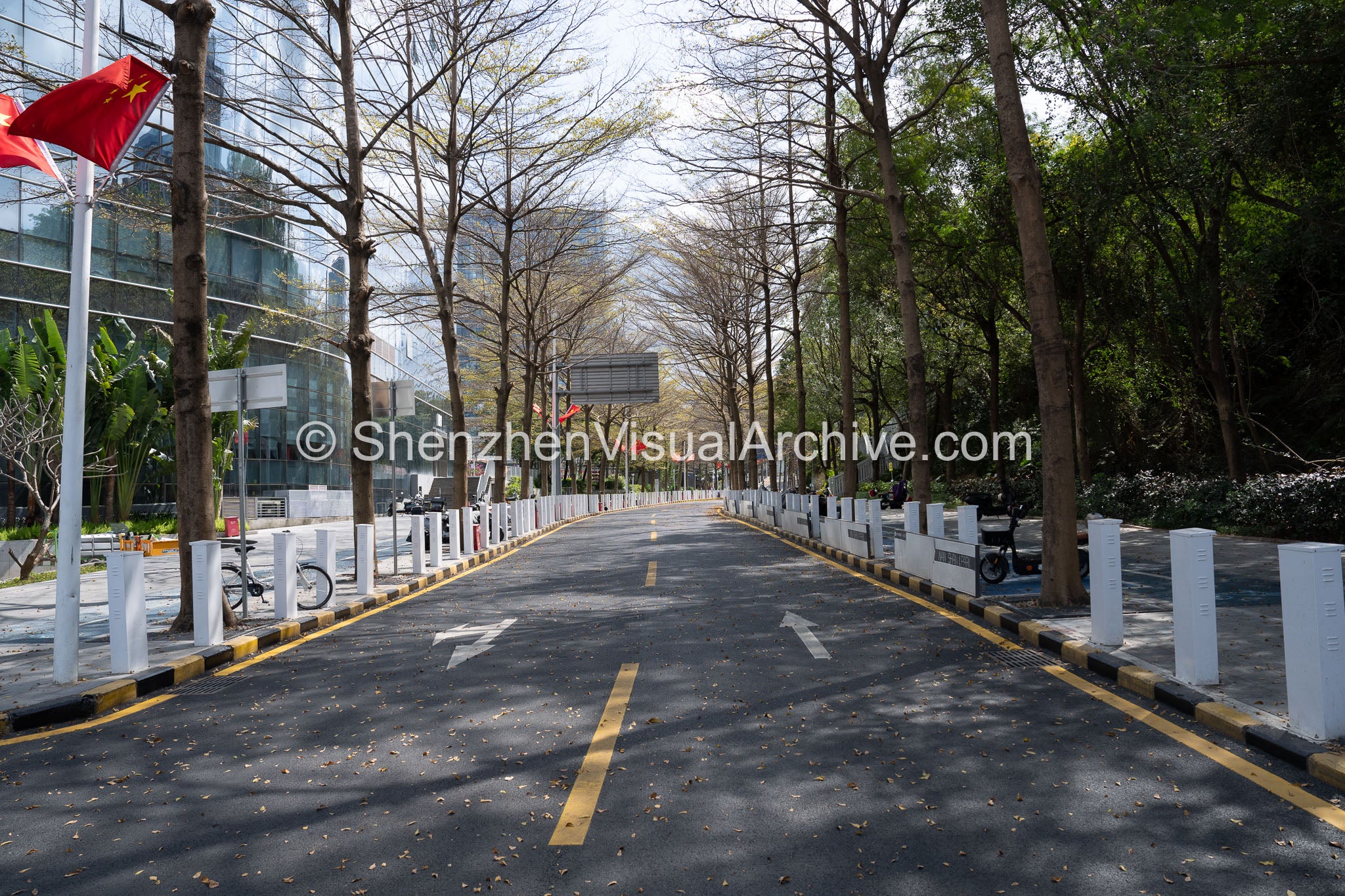 Eco-Boulevard: Tree-Lined Internal Avenue at Nanshan iPark (SVA-26-0157)
