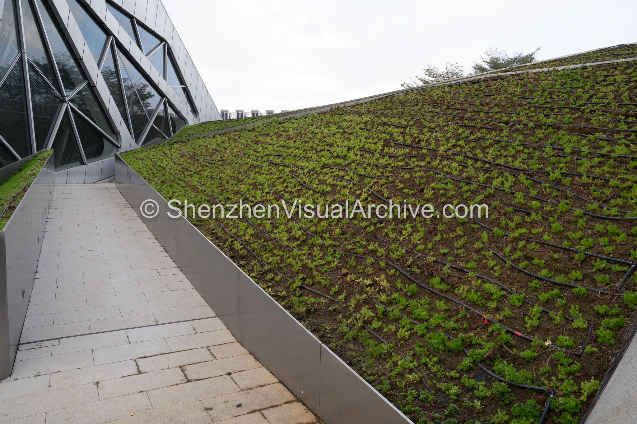 Eco-Architecture: Sloped Green Roof Installation at DJI Hasselblad Flagship Store (SVA-26-0168)