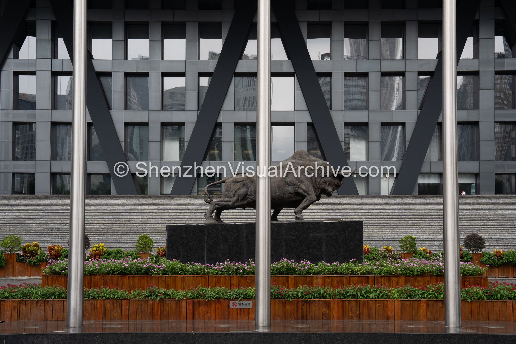 Financial Iconography: Close-Up of Bronze Bull Sculpture at Shenzhen Stock Exchange (SVA-26-0189)