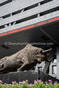 Financial Iconography: Low Angle Bronze Bull Sculpture with Floral Foreground and Red LED Ticker at Shenzhen Stock Exchange (SVA-26-0191)