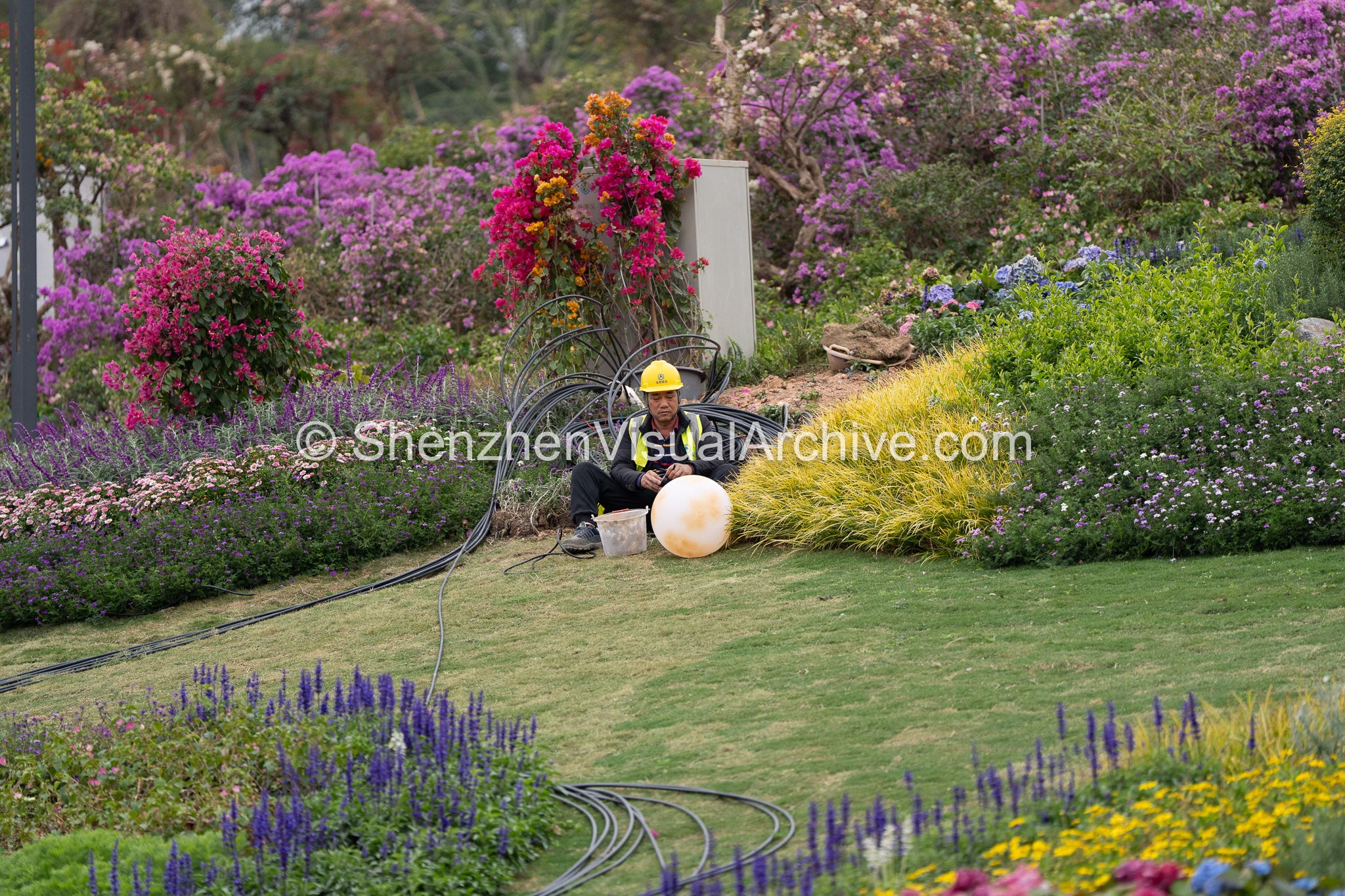 Light in the Garden: Electrical Installation at Shan Hua Lan Man Gongyuan (SVA-26-0028)
