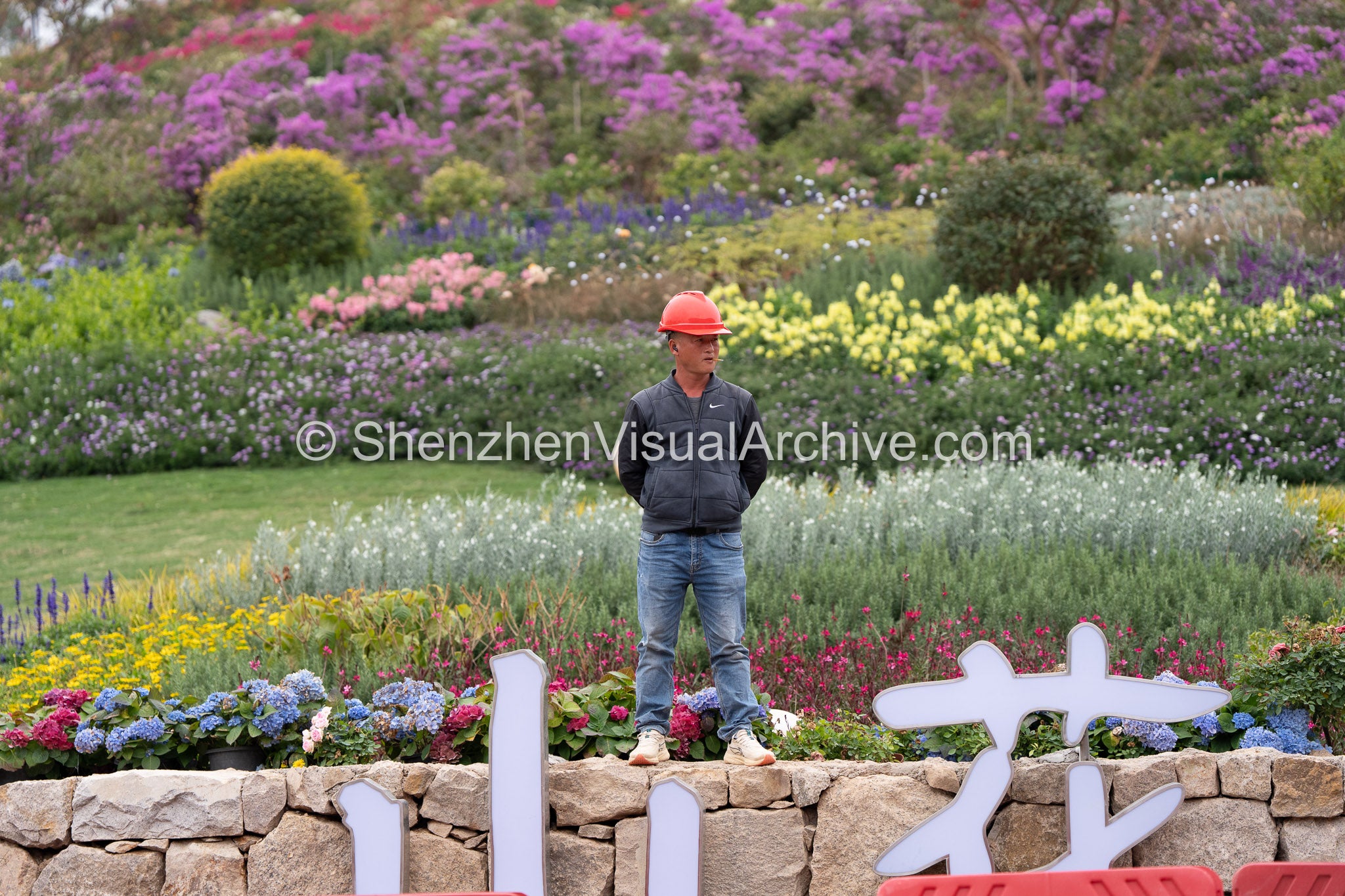 The Sentinel: Worker Surveilling Shan Hua Lan Man Gongyuan (SVA-26-0027)